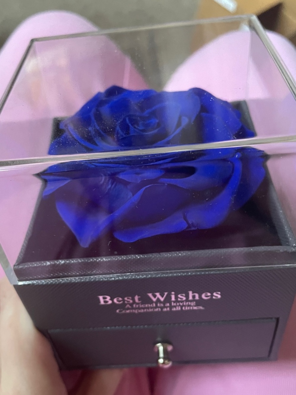 Blue Preserved Rose in Clear Display Box - Best Wishes